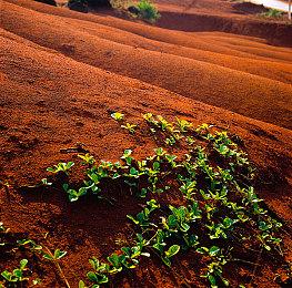 《守望先锋2》部分A测画面泄露 游戏模式界面曝光